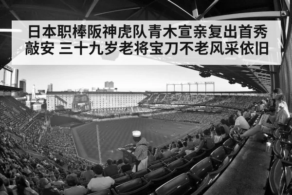 baseball stadium crowd