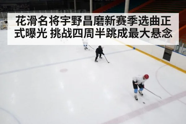 ice rink competition