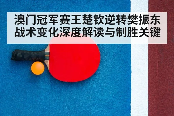 table tennis racket